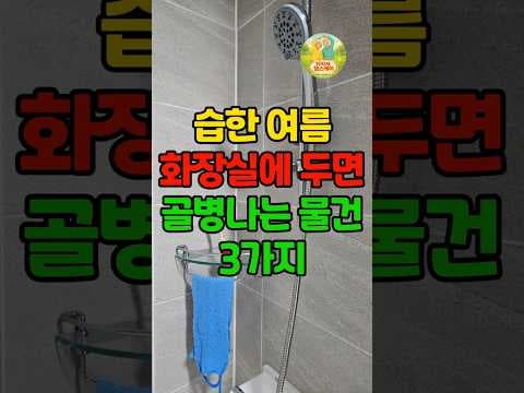 샤워 타월 & 샤워기 헤드 청소로 욕실 건강 지키는 법