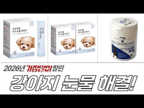 강아지 눈물 자국 관리법! 애견 눈 건강 지킴이 BEST 5 추천