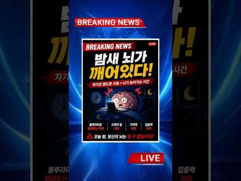 꿀잠 망치는 수면 전 스마트폰, 건강한 습관으로 극복!