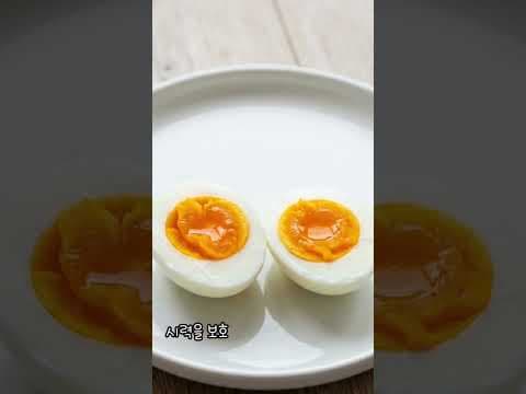 세포 건강 비결! 브로콜리 아보카도 동물의 간으로 해독 활성화 BEST