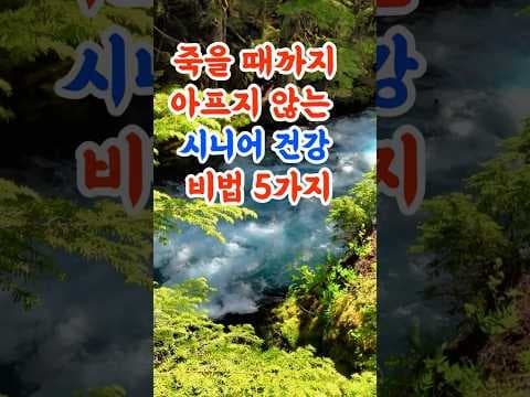 활기찬 노년을 위한 시니어 건강 관리 비법: 핵심 가이드