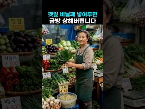 건강하게 깻잎 오래 보관하는 법! 신선 유지 꿀팁