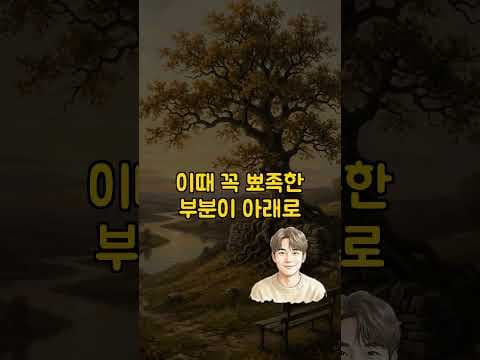 건강을 지키는 신선한 계란 보관 꿀팁 3가지 바로 확인하세요