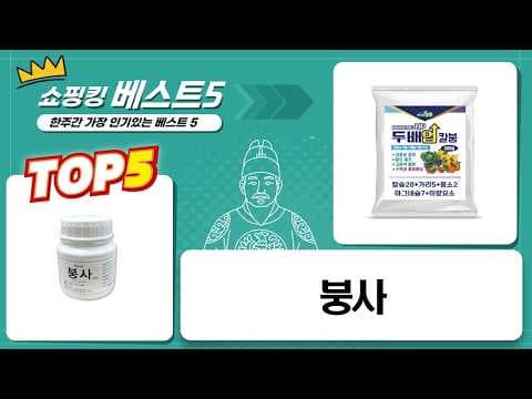 김장철 건강 지킴이: 김장 채소 영양제 4가지 추천 및 비교