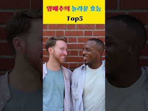 양배추 효능 Top5! 장 건강, 다이어트, 피부까지 챙기는 건강 비법