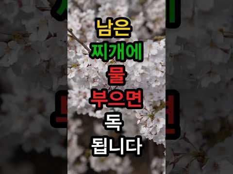 찌개 건강하게 데우는 3가지 방법! 염분 낮추고 영양 올리기