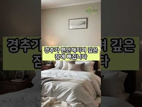 숙면 부르는 건강 베개 고르는 법: 내게 맞는 높이는?