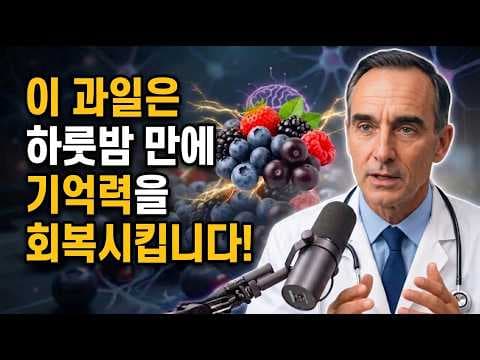 뇌 건강에 좋은 블루베리 효능! 뇌 기능 개선 방법