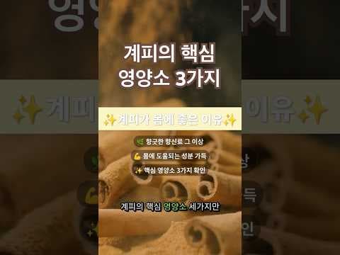 혈당 관리에 도움! 계피 효능과 건강하게 즐기는 방법