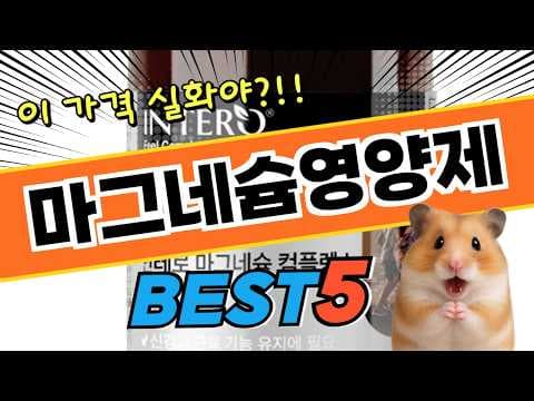 건강을 위한 마그네슘 영양제 추천 TOP 4, 꼼꼼히 따져봤어요