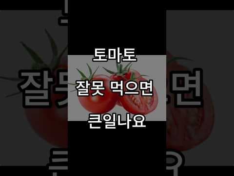 토마토 건강하게 먹는 법: 라이코펜 흡수율 높이는 식단 비법