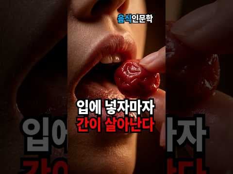 간 건강 지키는 비법! 우메보시 효능과 숙취 해소 효과