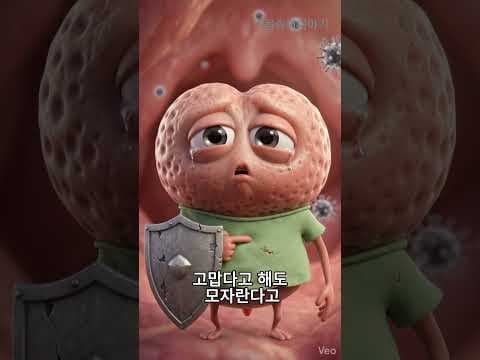 간, 비장, 편도, 맹장 건강 관리법: 인체 장기의 숨겨진 기능