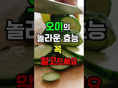 오이 효능과 건강하게 먹는 법: 영양성분 완전 분석