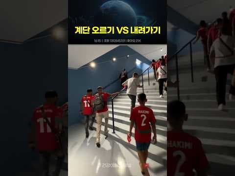 계단 오르내리기 운동 효과 비교! 내 건강에 맞는 방법은?