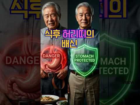 소화불량 해결! 건강한 소화를 돕는 식습관 꿀팁