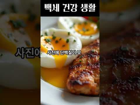 사진으로 건강 체크! 내 아침 식단 관리하는 방법