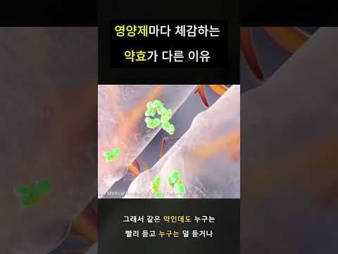 영양제 효과 왜 다를까? 개인차 원인과 건강 관리법