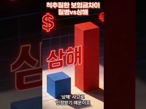 척추 건강 지키는 법: 압박골절 보험금 청구 가이드