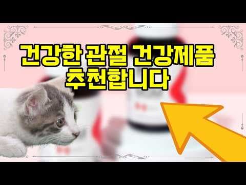 1년 든든한 관절 건강, 컨첼 MSM 꾸준히 섭취 후기