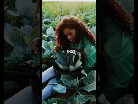 봄철 건강 지키는 음식 BEST 5! 냉이, 달래, 딸기 효능은?
