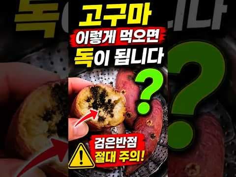 50대 이후 꼭! 건강하게 고구마 섭취하는 방법: 주의사항 완벽 정리