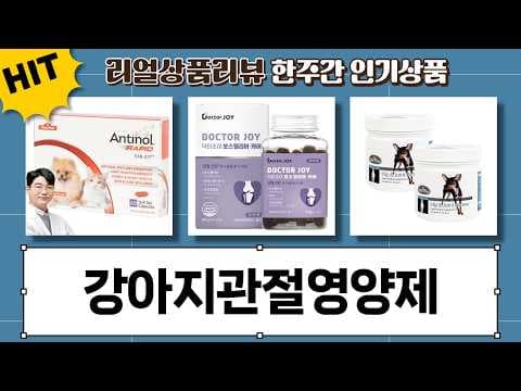 강아지 관절 건강 지키는 법! 영양제 비교 및 관리 팁