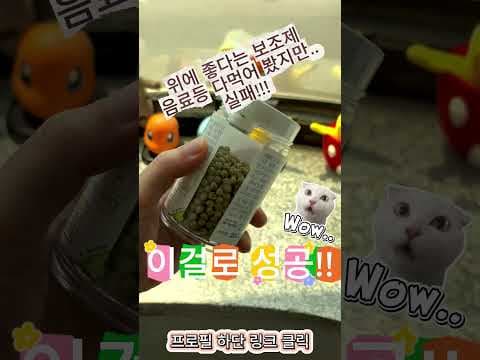 만성 위염 건강하게 극복! 연배총환 솔직 후기