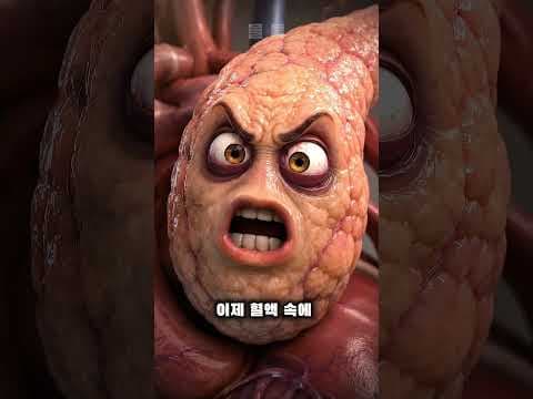 혈당 관리가 건강 지키는 첫걸음! 당뇨병 합병증 예방하는 생활 습관
