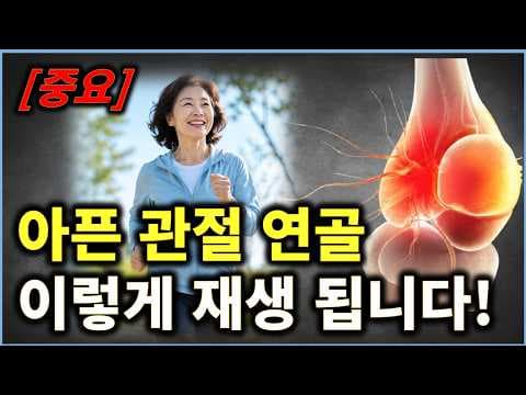 퇴행성 관절염 극복! 관절 영양제로 연골 재생하고 건강 되찾는 법