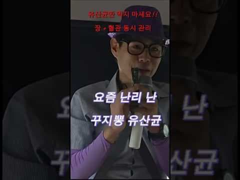 꾸지뽕 효능 알고 건강하게! 수면, 혈액순환, 당뇨 개선 효과