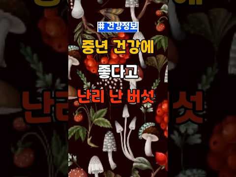 중년 건강 지키는 버섯 효능! 면역력과 항산화 효과