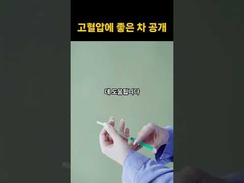 혈압 낮추는 건강차 TOP5! 혈관 건강에 좋은 차 추천