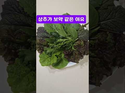 50대 건강 저녁 식단 추천! 상추, 천국장, 현미밥으로 속 편하게
