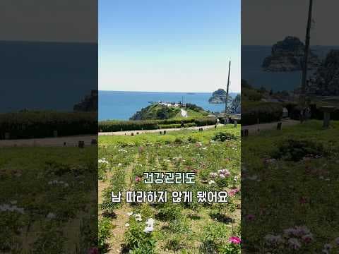 50대 이후 건강 관리: 감정의 파도에 대처하는 건강한 방법
