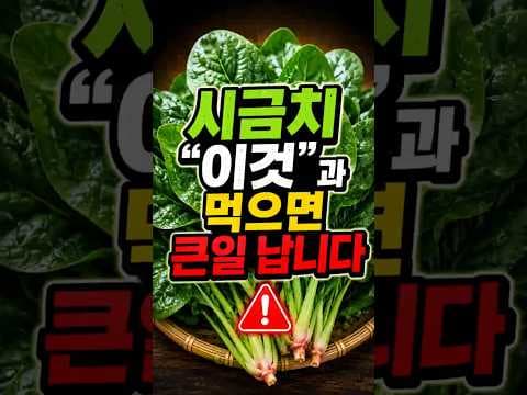 건강하게 멸치와 시금치 먹는 법! 균형 잡힌 식단으로 건강 관리