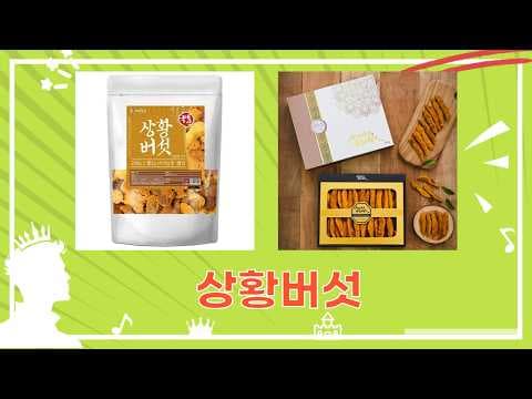 면역력에 좋은 국산 상황버섯 추천 BEST 5! 건강하게 즐겨봐요