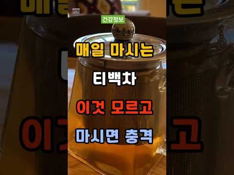 매일 마시는 티백차 속 미세플라스틱, 건강 위험과 안전 섭취법