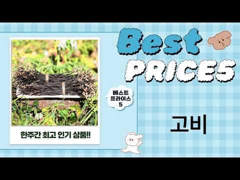 겨울 건강 선물: 오가닉 캐시미어 목도리 추천
